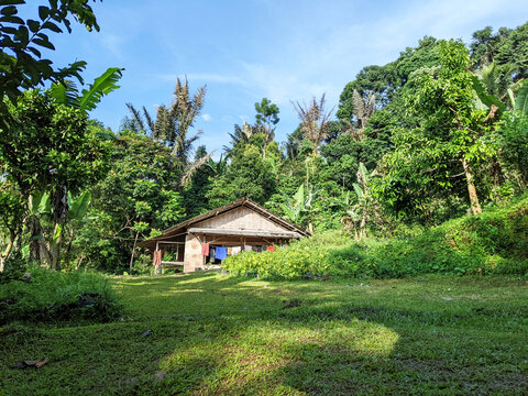 Small Cottage in Bogor East Java Indonesian Forest