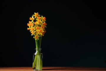 Spring composition. Yellow flowers daffodil in transparent bottle with dark background. Mother's day concept. Copy space