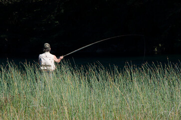scador with a fly among the reeds in a river in patagonia