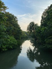 The Green side of singapore