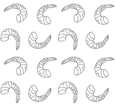Vector seamless pattern of hand drawn doodle sketch shrimp isolated on white background