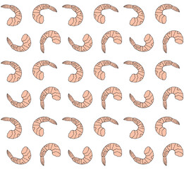 Vector seamless pattern of hand drawn doodle sketch colored shrimp isolated on white background