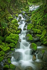 Fototapeta na wymiar Flowing rocky river surrounded by grass