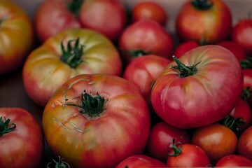 Closeup shot of colorful tomatoes