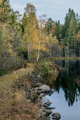 Fototapeta na wymiar Vertical shot of yellow and green autumn forest and stones surrounding a lake