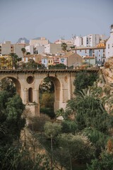 Fototapeta na wymiar Vertical shot of long bridge surrounded by buildings and green lush trees