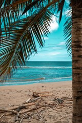 Naklejka na ściany i meble Vertical shot of a sandy beach and a palm under a blue sky with clouds.