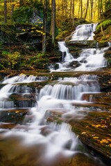 a waterfall running through a forest next to tall trees under a yellow fall sky