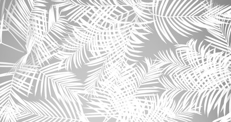  coconut tree branch shadows, silhouette on white background, black and white background, abstraction, 3d render