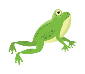 Cute toad mascot