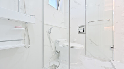 Bathroom divided into zones with glass partitions