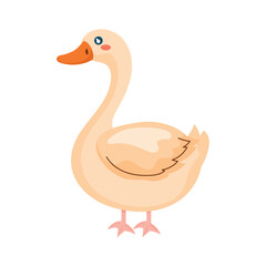 Cute farm goose