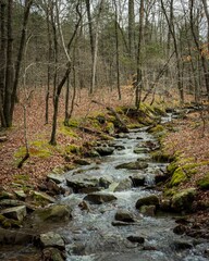 Beautiful Jackson Falls in the Shawnee National Forest, United States