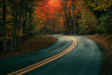 Asphalt road going through an autumnal colorful forest during daytime