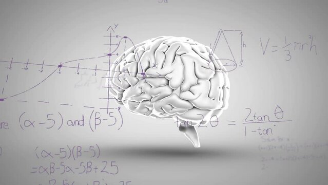 Animation of mathematical equations over spinning human brain icon against grey background