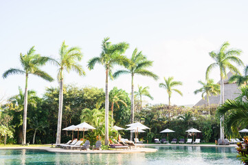 Tropical Vacation Flowers by the Pool