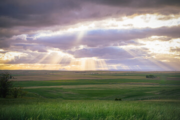 Naklejka na ściany i meble Sunlight shining through clouds onto a field