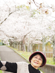 満開の桜の花を見上げる高齢女性
