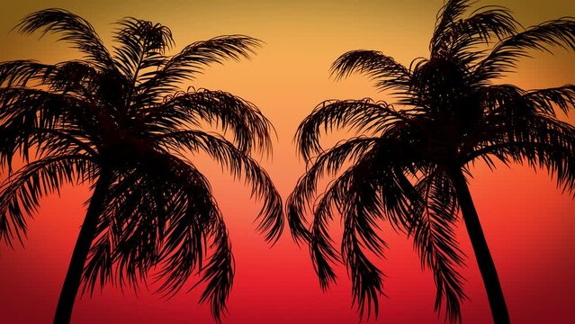 Silhouette of palm trees gently waving on a sunshine background in a seamless loop.