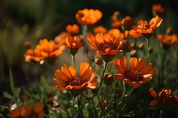 field of orange wildflowers in a natural setting created with Generative AI technology