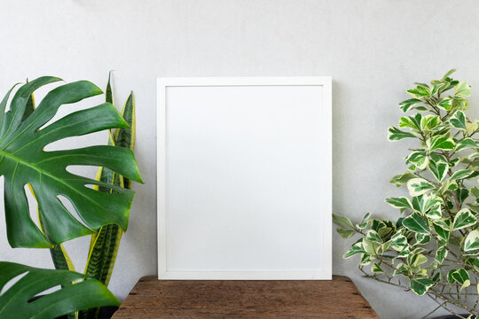 photo frame with plants for home decoration
