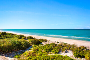 Florida Beach View with Clear Blue Skies, Calm Water and Healthy Green Vegetation in the Foreground