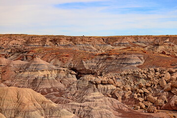 Fototapeta na wymiar Petrified Forest National Park, a natural attraction place with many petrified tree trunks and fossils, in Arizona, USA.
