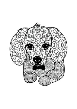 baby dog mandala, baby colouring books 