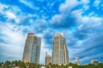 skyline with skyscraper buildings and palm trees in miami