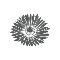 Wonderful flower. Vector illustration. Coloring book page for adults. Black and white line. Love bohemia concept for wedding invitation cards, branding, Coloring page, and label.