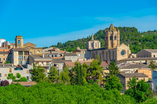 Aerial view of Vallbona de les Monges, Spain