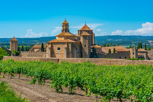 Monastery of Santa Maria de Poblet behind vineyards in Spain