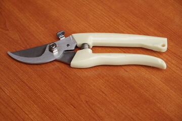 Flat lay photo of a Pruning shear with lock or plant cutter on a wooden table