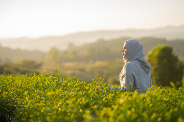Asian Muslim woman wearing hijab looking at the view Choui Fong Tea Plantation Viewpoint, Tea...