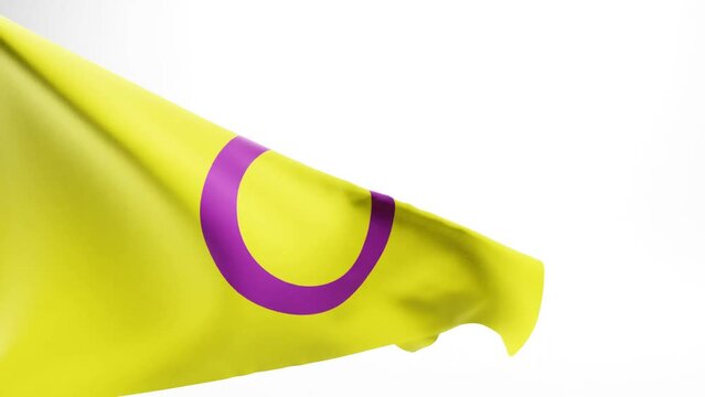 Yellow Intersex Pride Flag flapping against white background; 3D render