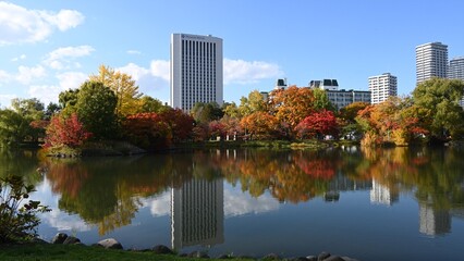 中島公園　紅葉