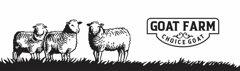 vector illustration of goat farm, goat farming in countryside hand drawn. 
