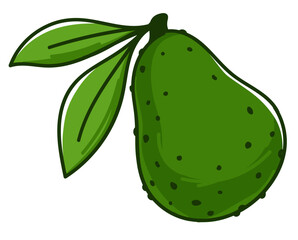 Avocado pear with peel and leaves, fresh fruit