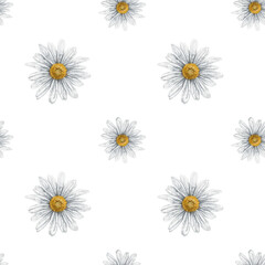 Seamless hand drawn pattern with white chamomiles. Flower background for textiles, fabrics, banner, wrapping paper and other designs. Digital illustration on white background