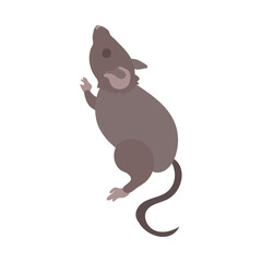 よじ登ろうとするハツカネズミ。フラットなベクターイラスト。
A house mouse trying to climb up. Flat designed vector illustration.