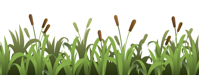 Thickets of reeds. Grass densely green. Summer coastal landscape. Bank of river or lake. Cartoon fun style. Flat design. Isolated on white background. Vector