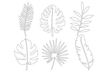 continuous one line drawing of green tropical leaves. Freehand drawing, black lines on a white background.