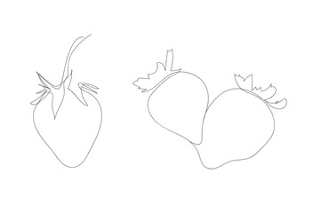 vector strawberry drawn in one line. A pair of strawberries drawn in continuous line. illustration