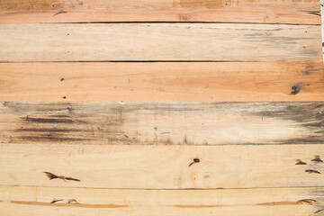 background texture nature wooden cut hardwood forest 