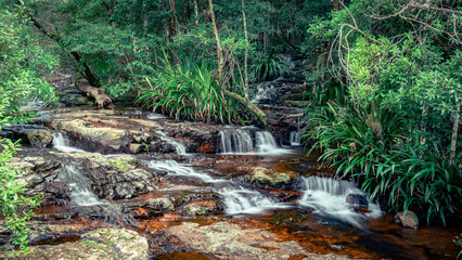 Small waterfalls in Springbrook National Park, Queensland, Australia