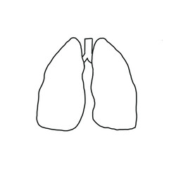 lung organ anatomy biology medical hand drawn doodle organic line