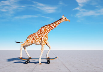 Giraffe on skateboard. Impossible and happiness concept. © Mihaela