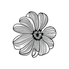 Obraz premium Floral drawing. Art coloring page,using Child Coloring book.