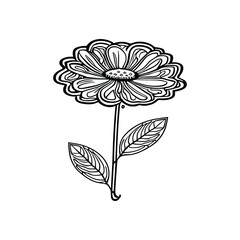 Floral drawing. Art coloring page,using Child Coloring book.
