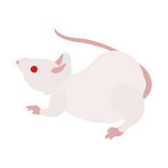 飛びかかろうとするアルビノの白いハツカネズミ。フラットなベクターイラスト。
Facing forward albino white house mouse. Flat designed vector illustration.